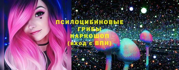 apvp Зеленодольск
