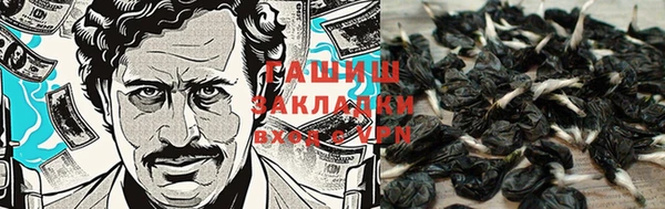 прущие крисы Зеленокумск