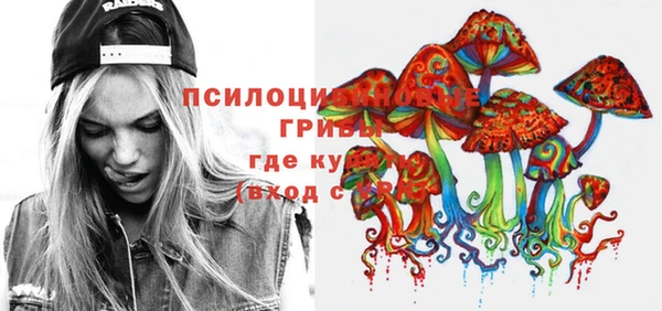 прущие крисы Зеленокумск