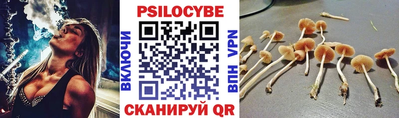 Псилоцибиновые грибы GOLDEN TEACHER  Купить где  Искитим 